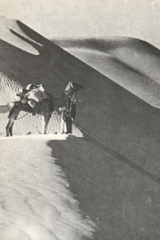 wilfred thesigers expedition rastar pa toppen av en sanddyn under ritten genom det tomma landet, william r clark